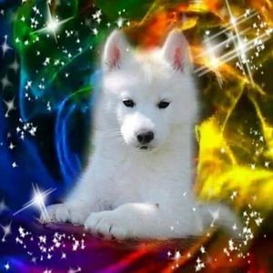 Meet your Posher, Tina